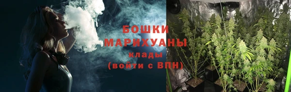 крисы Ладушкин
